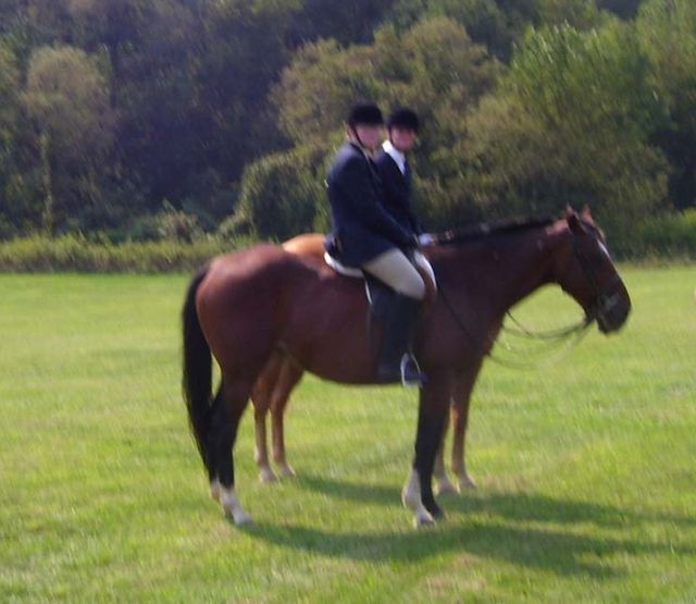 cc fair 4h horse show