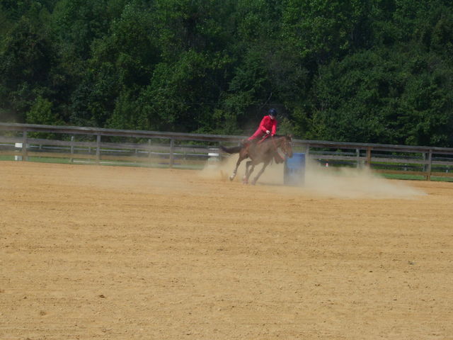 cc fair 4h horse show