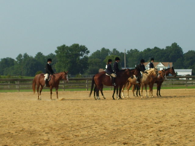 cc fair 4h horse show