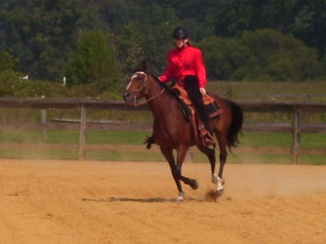 cc4h horse show 06