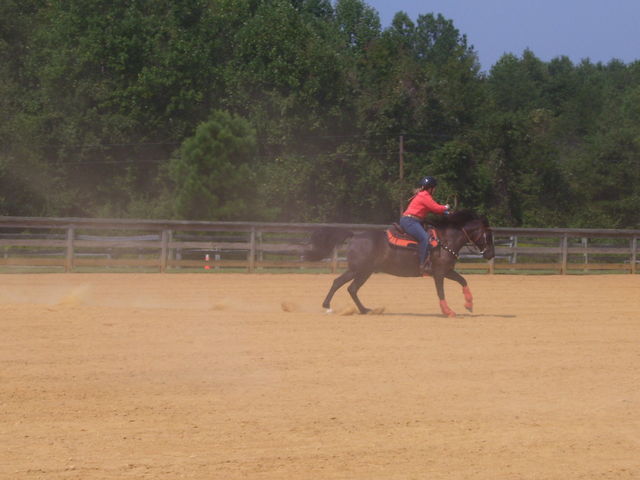 cc4h horse show 06