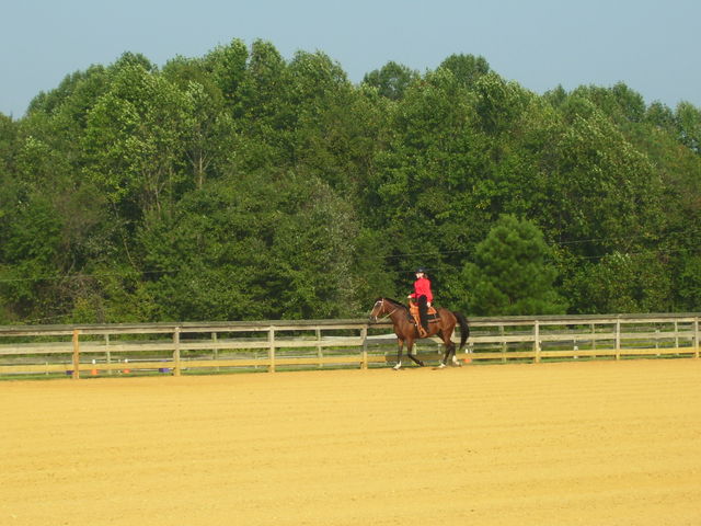 cc4h horse show 06