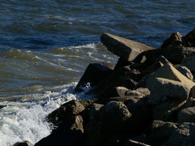 Cheasapeake Bay vs Shore Line