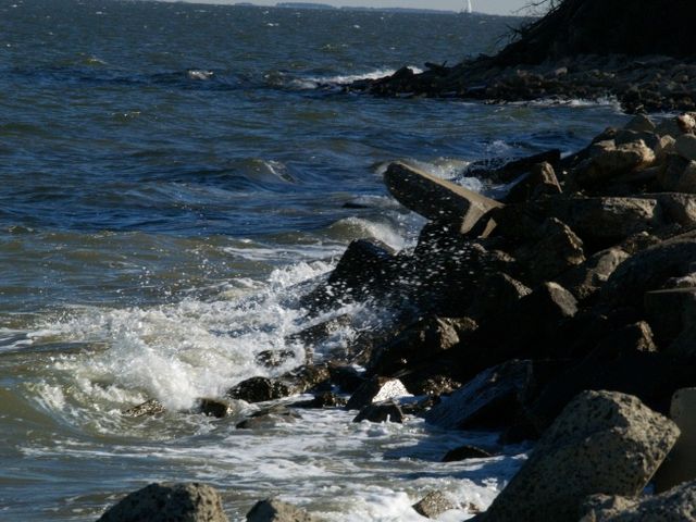 Cheasapeake Bay vs Shore Line