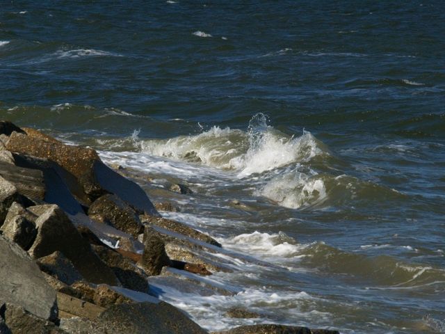 Cheasapeake Bay vs Shore Line