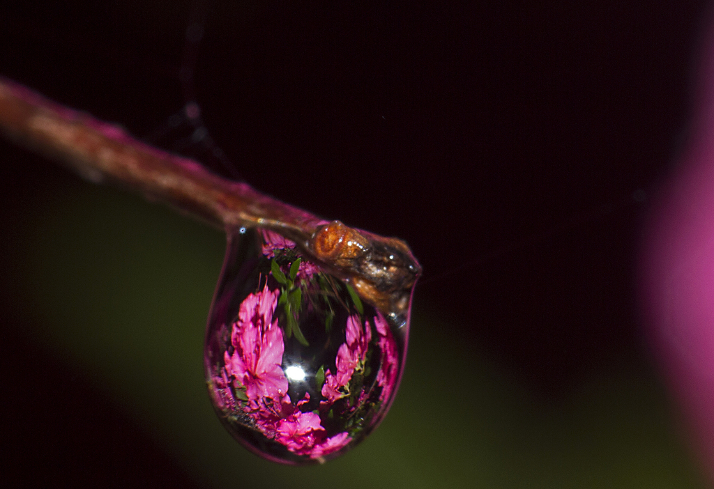 Chesapeake Beach Raindrop