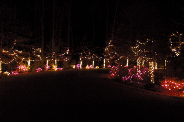 Christmas Lights at Annmarie Gardens