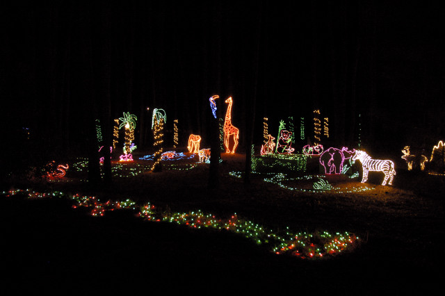 Christmas Lights at Annmarie Gardens