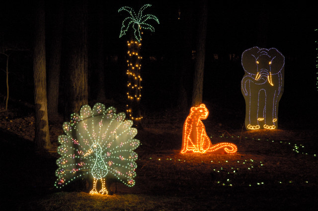 Christmas Lights at Annmarie Gardens