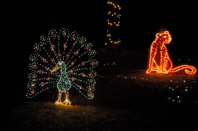 Christmas Lights at Annmarie Gardens