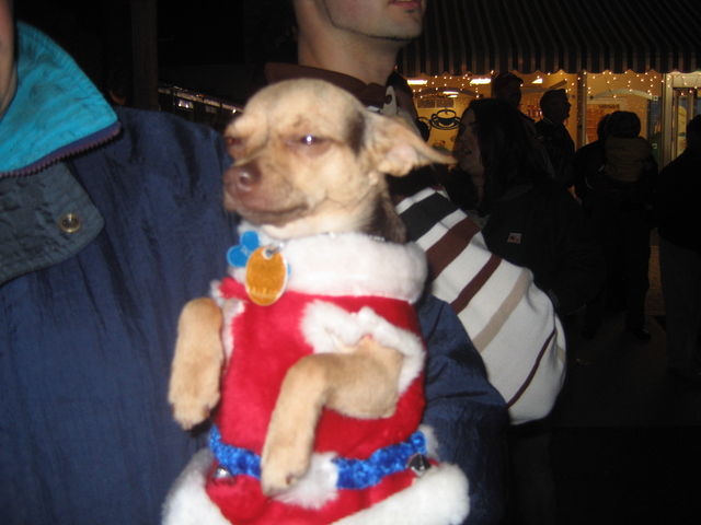 Christmas on the Square in Leonardtown