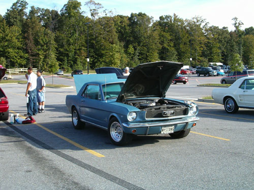 Classic Mustang