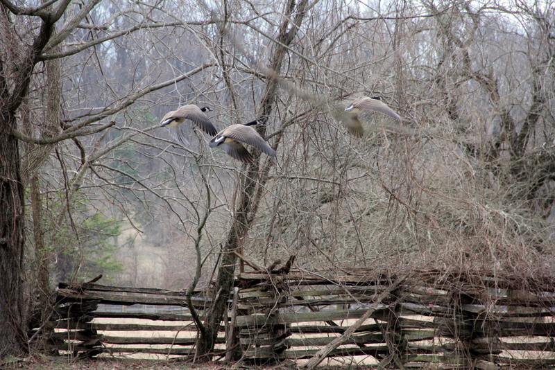 Colonial Farm National Park