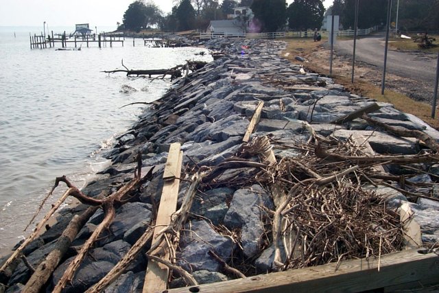 Coltons Point - Debris on Shore