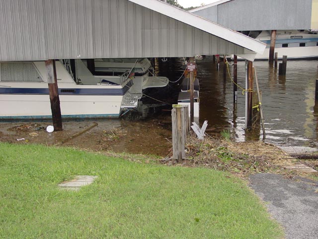 Coltons Point Marina - Debris