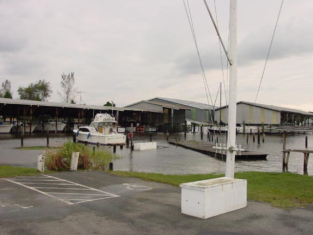 Coltons Point Marina - On the Loose