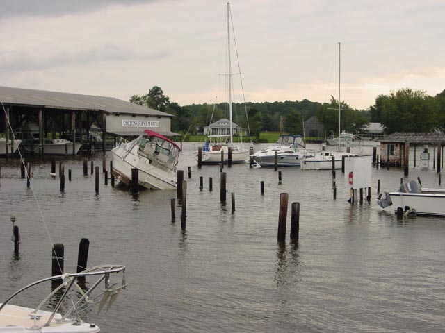 Coltons Point Marina - On the Pilings