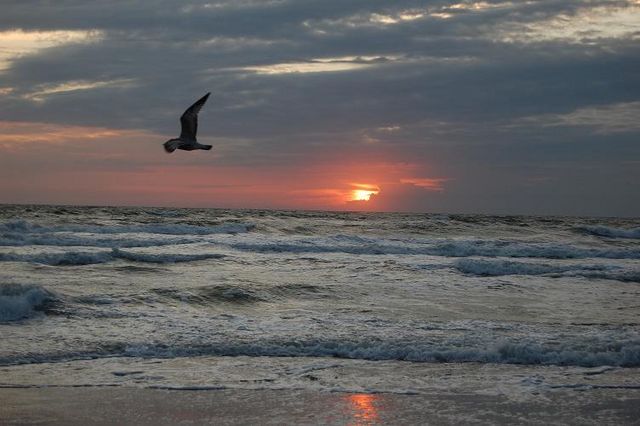 Corolla nc-oct 08