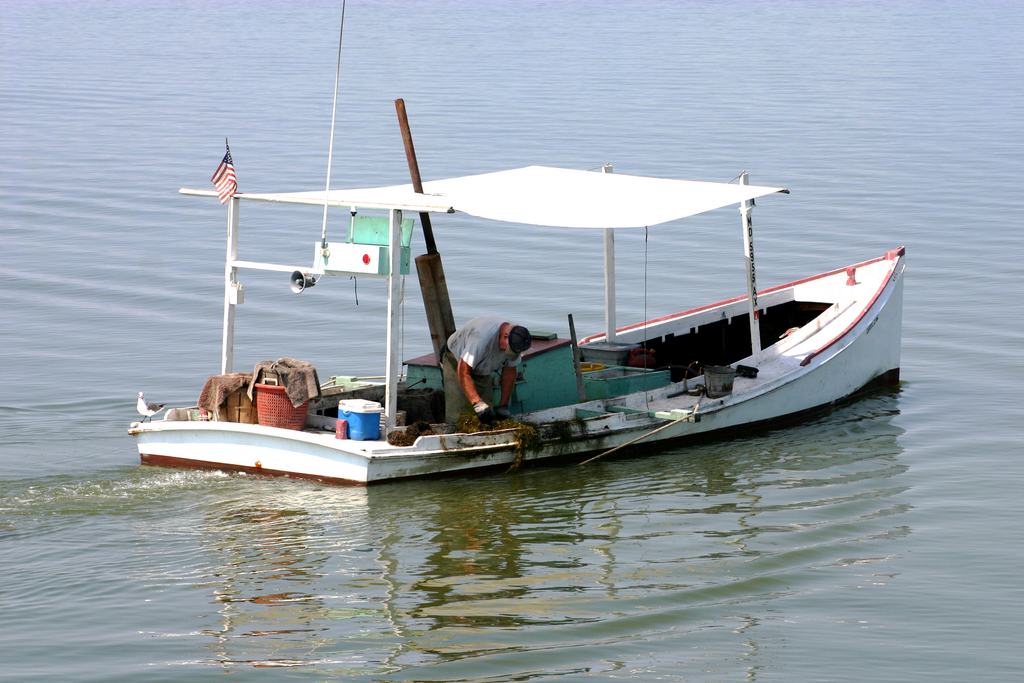 Crabbing in Smith Island, Md