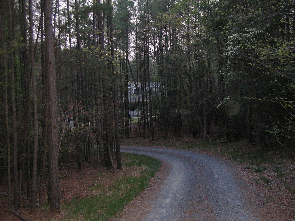 Down the driveway to the house