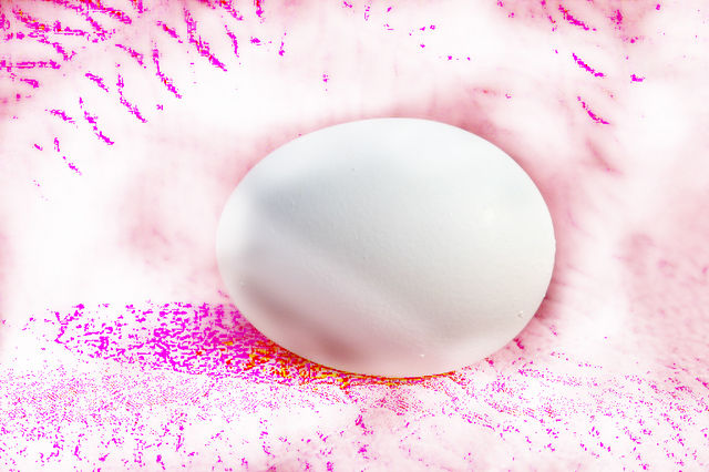 EGG_1825