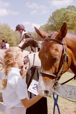 Equestrian, Before the Event