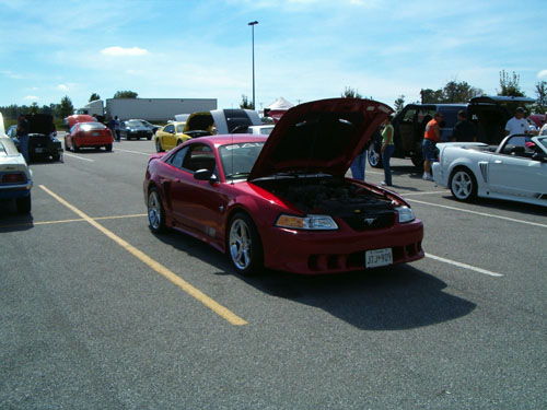 Even Saleen Mustangs were there