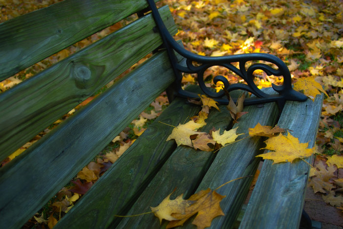 Fall comes to southern Maryland