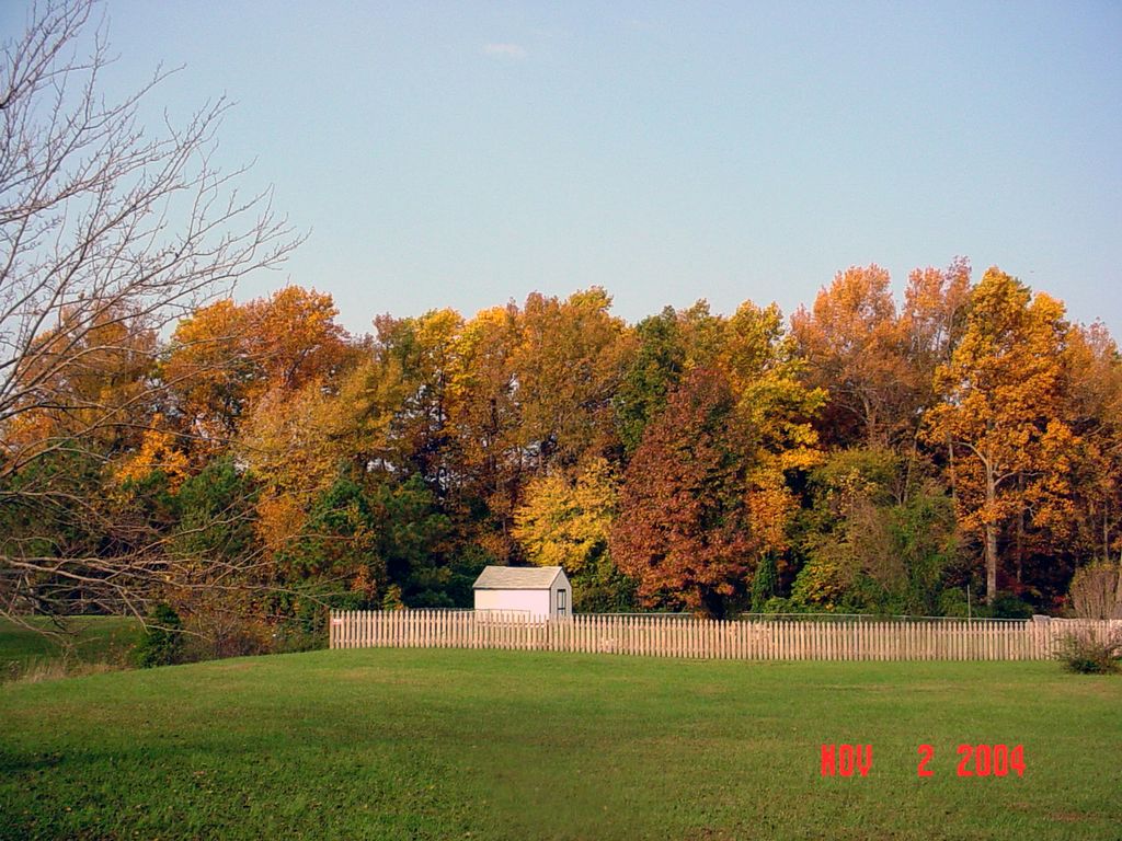 Fall in Park hall