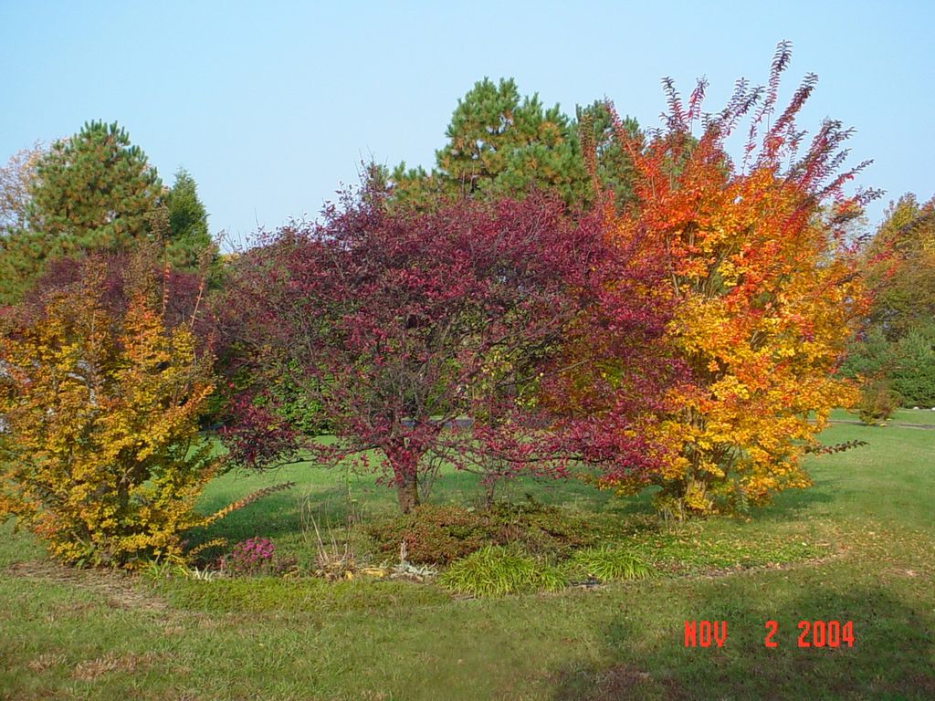 Fall in Park Hall