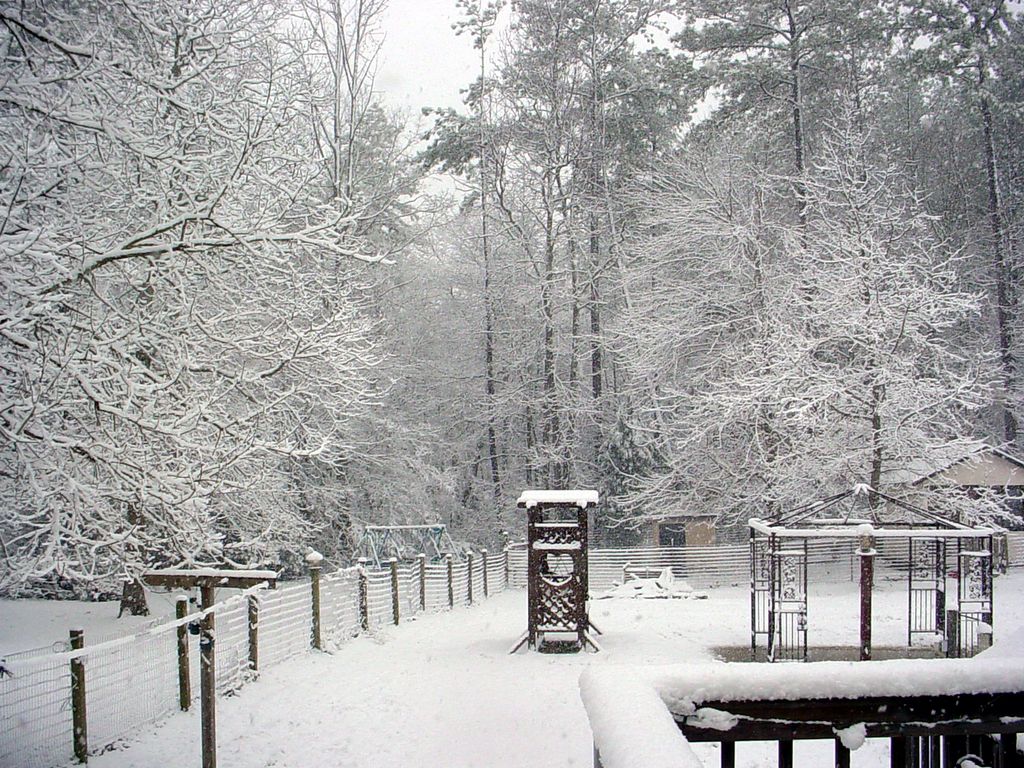 February snow