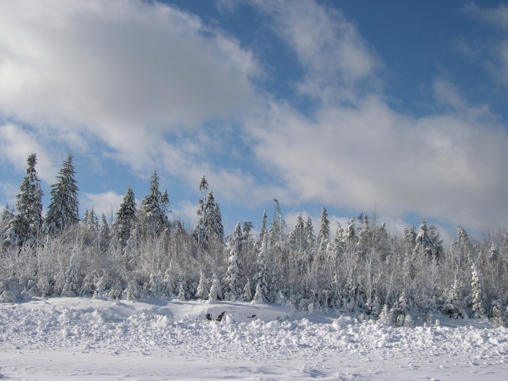 First Snow in Nova Scotia.  Dec 10 2005