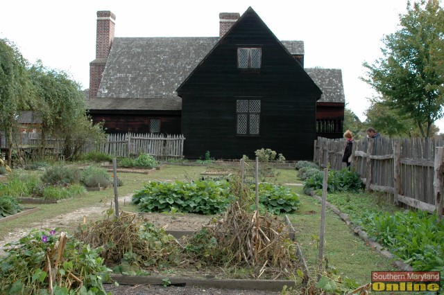 Food Garden