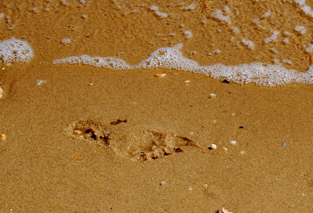 Footprint_21