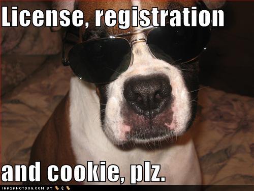 funny-dog-pictures-dog-asks-for-your-license-registration-and-cookie