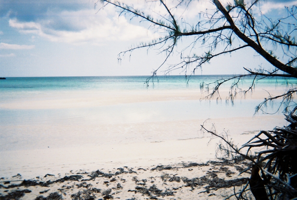 Gold_Rock_Beach_from_Shore