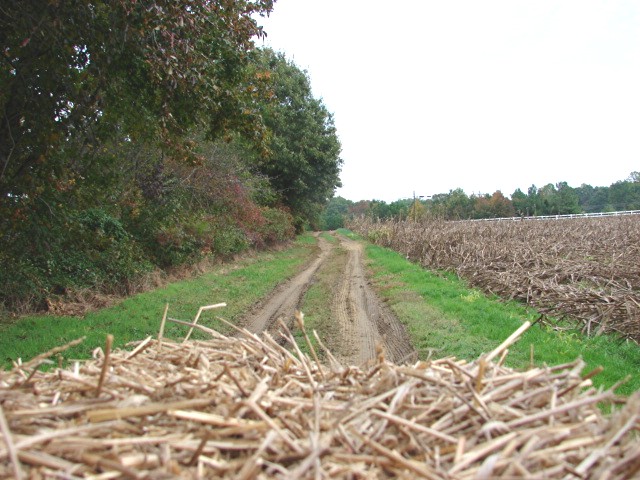 Hayride