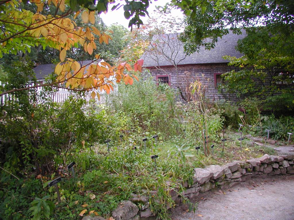 Herb garden