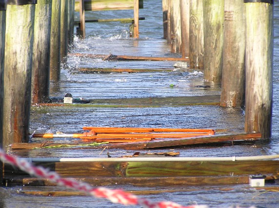 Hurricane Isabelle - Solomons Island 2003