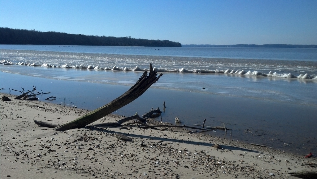 Ice on the Potomac