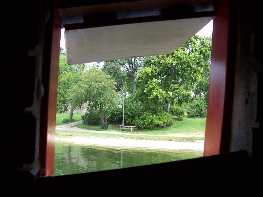 Inside looking out - Maryland Dove