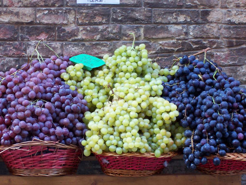 Italian Grapes