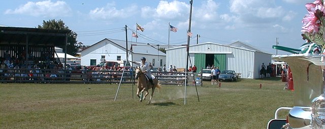 Jousting