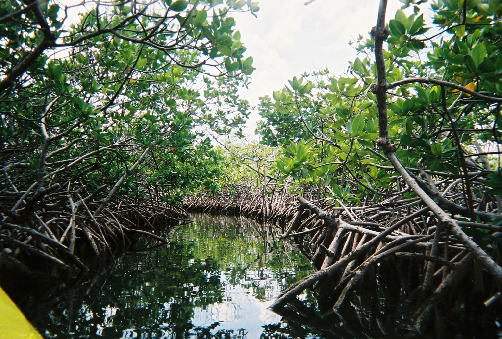 Kayaking down Gold Rock Creek