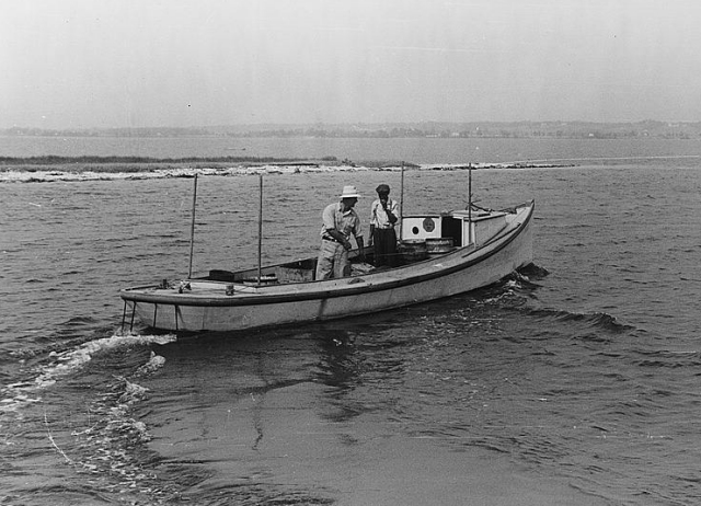 Leaving for home after unloading a day's catch of crabs