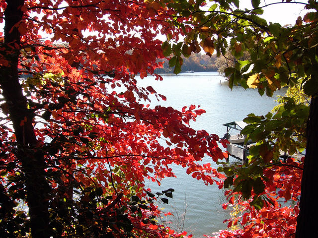 Lewis Creek in fall