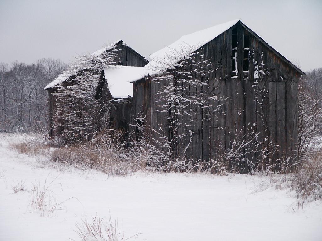 Maryland Snow