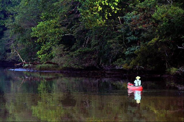 Morning Fisherman