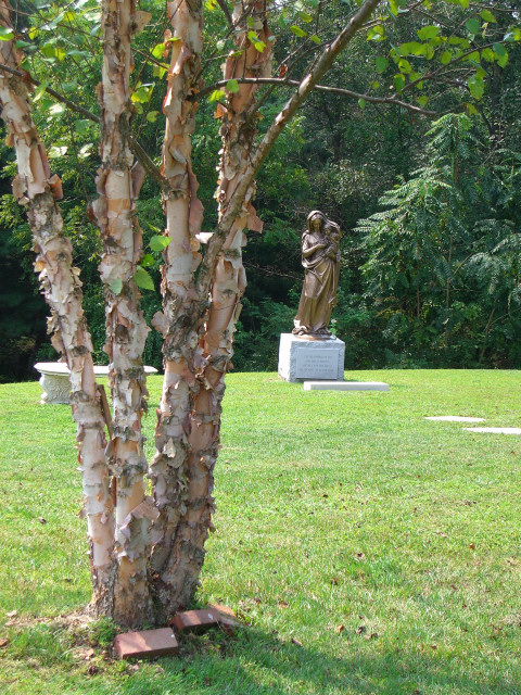 Mount Carmel Monastery, La Plata