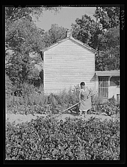 Mrs. Eugene Smith hoeing in her garden, Sept 1940